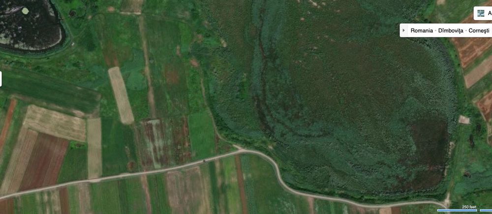 Proprietar Teren Butimanu Lucianca Hodarasti 10.000 mp