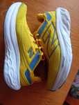 New balance fresh foam