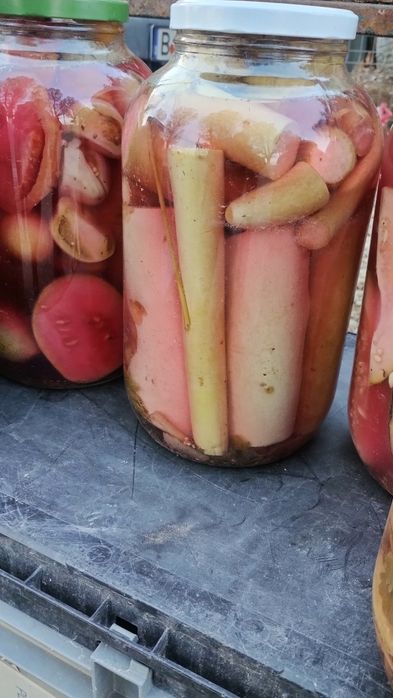 Murături - Dulceață de Sezon