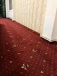Mocheta Imperial Trafic Intens Cel Mai Bun Raport Calitate / Pret