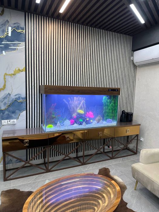 Akvarium yasimiza zakasga