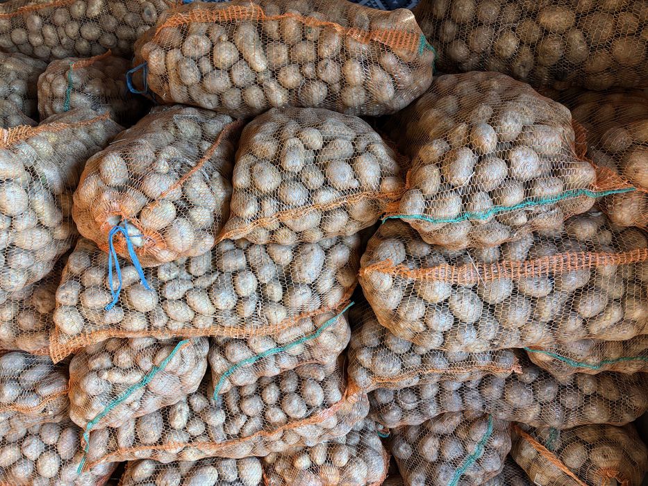 Cartofii de consum,sau pentru iarna.