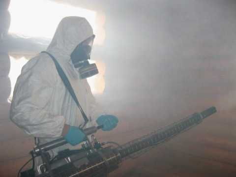 Уничтожение клопов и тараканов с горячем туманом в городе Бухаре
