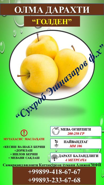 Мевали кўчатлар сифатли ва ишончли