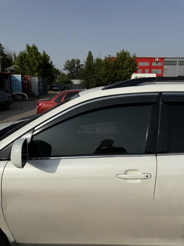 Автошторки оптом