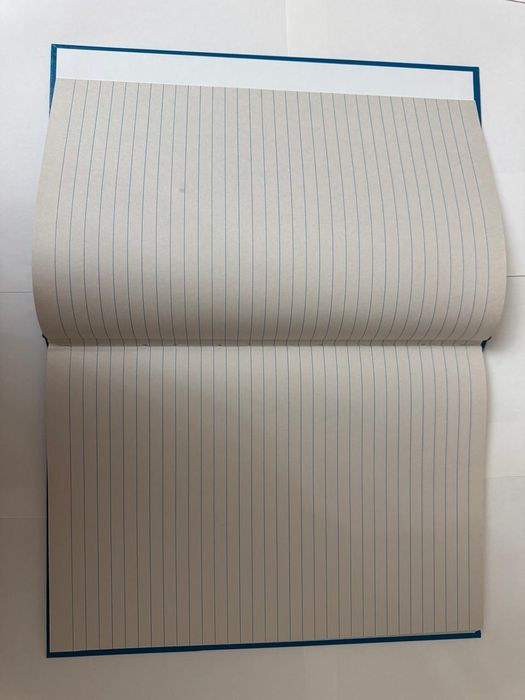 Канцелярская книга 96 листов