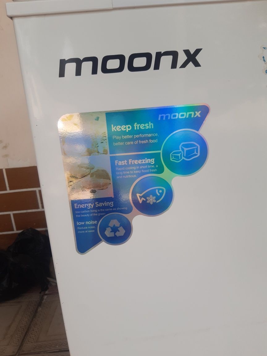 Морозильный пашти янги
