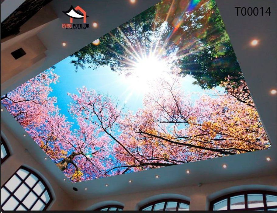 Натяжной патологии ( Natyajnoy patalok)