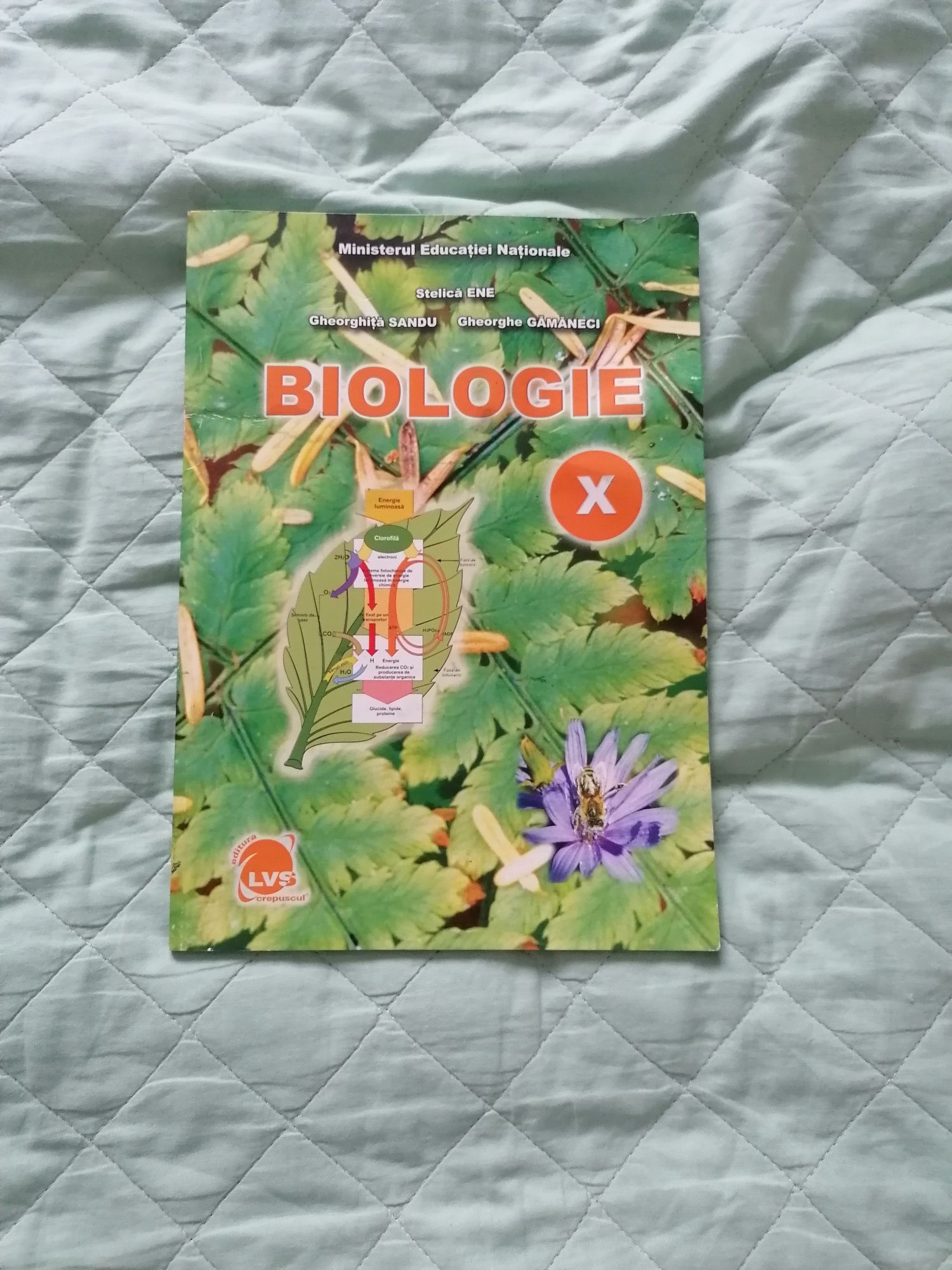 Manuale și culegeri
