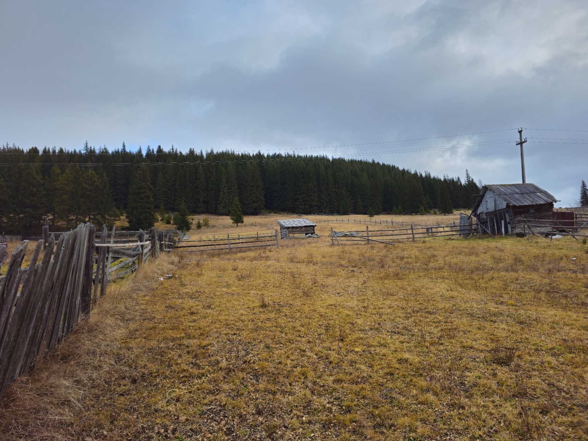 Teren Intravilan de vanzare in Bucovina Moldova Sulita