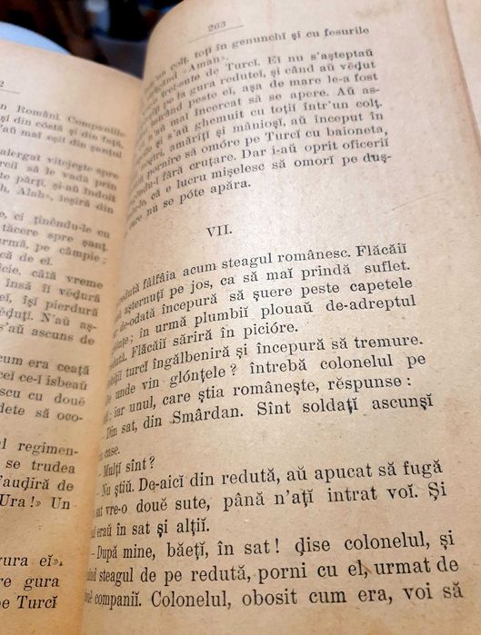 Rasboiul nostru pentru Neatirnare, de George Cosbuc , 1899