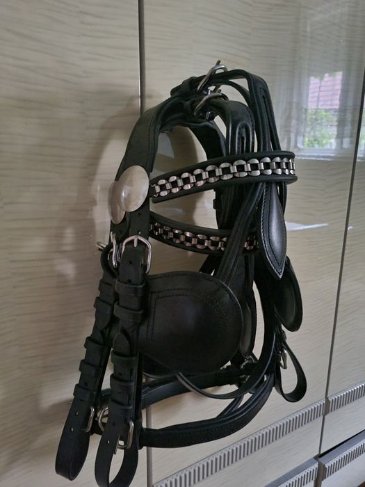 Capastru, capitea,  hamuri  trasura