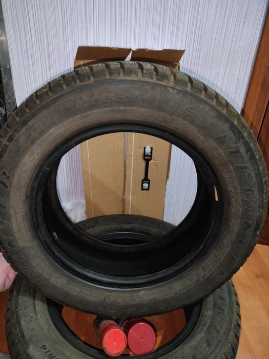 Шины зимние шипованные