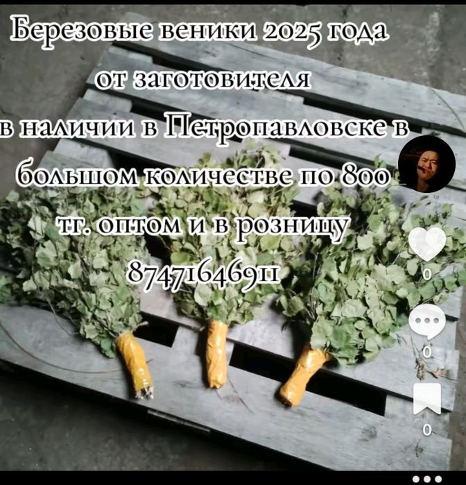 Берёзовые веники оптом из Петропавловска