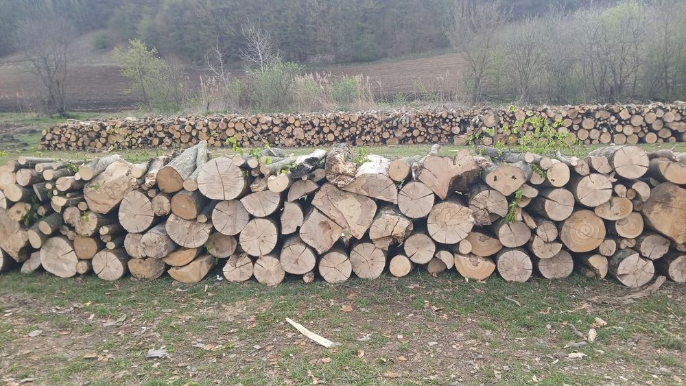 Vand lemne de foc