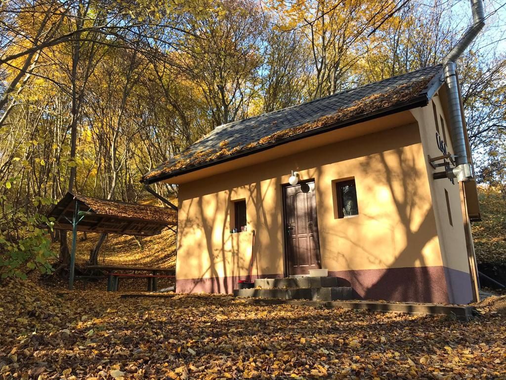 De închiriat cabană in regim hotelier