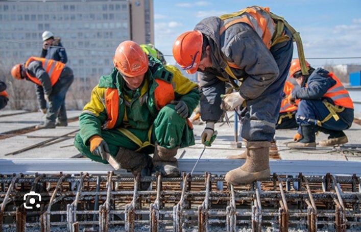 Услуги услуги услуги