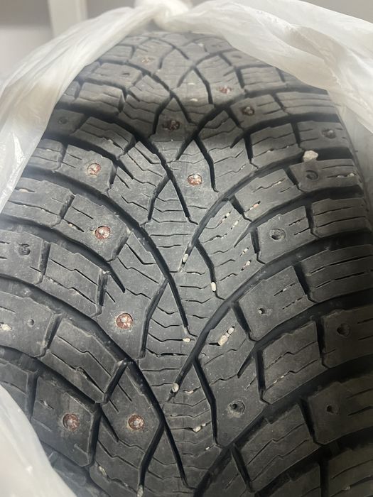 Зимние шины Triangle 215/55 R17