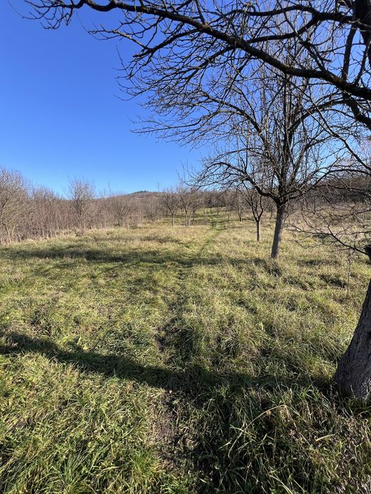 Teren de vânzare în Hunedoara