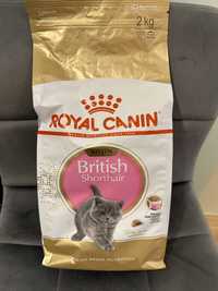 hrana uscata pentru pisici Royal Canin, British Shorthair, Kitten, 2kg