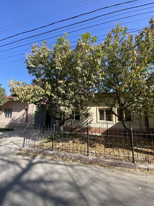 Озимни уйим, Без маклер