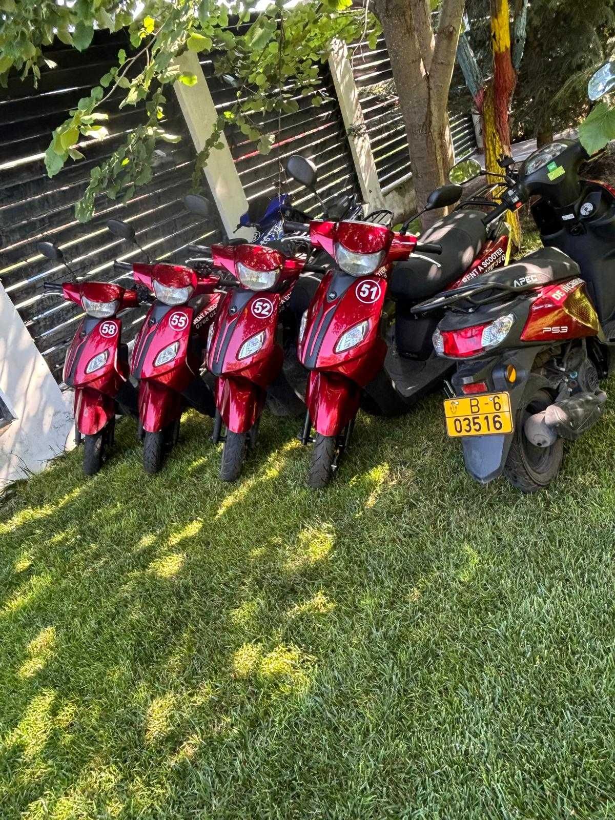 Scutere 50 cc Model Apec (2023 și 2024)