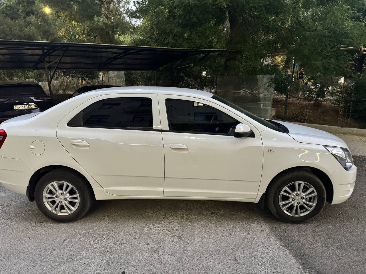 Oq Cobalt LTZ 2024