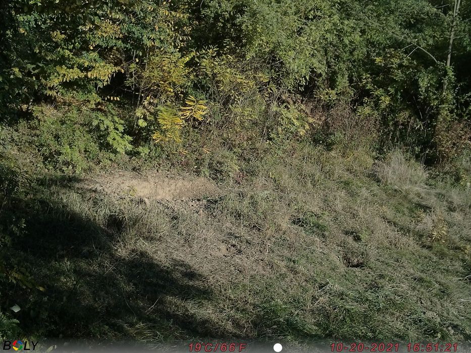 Bg710 MFP 4G Forest Camera Vanatoare 24Mp