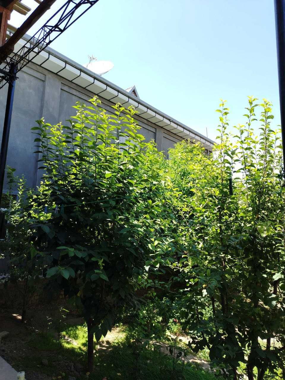 Xoji ota masjidi yonida Shinam xovli sotiladi.