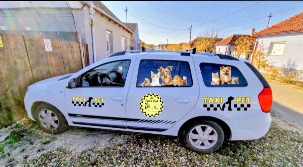 Animale de companie - TRANSPORT