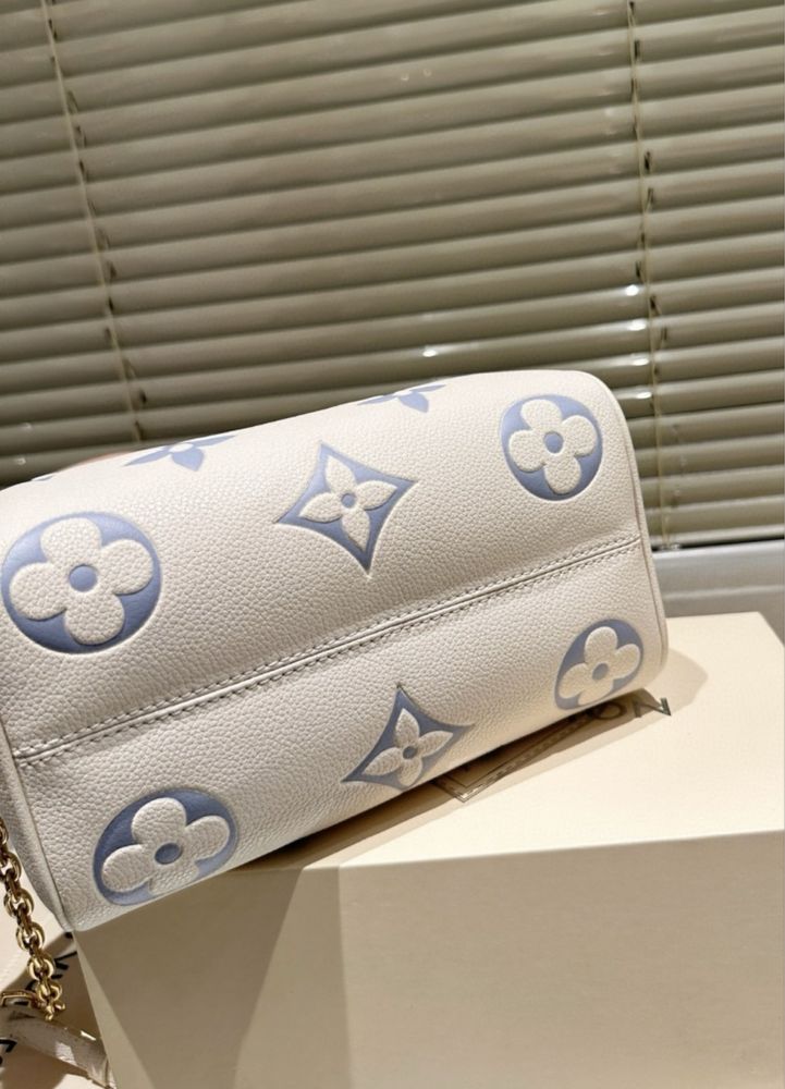 Louis Vuitton speedy