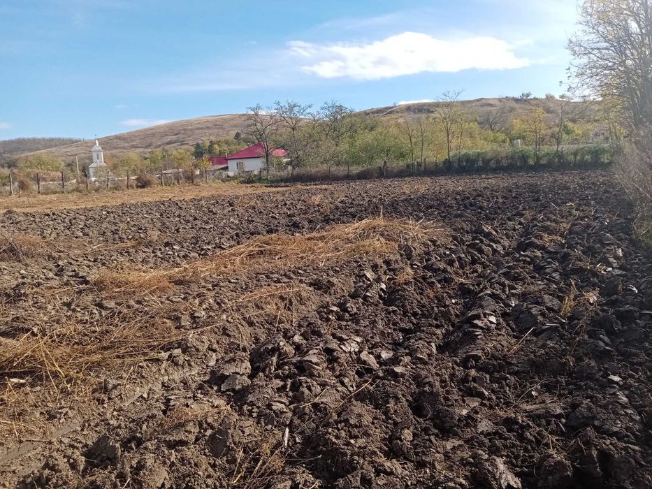 8 euro mp Comuna Vladeni