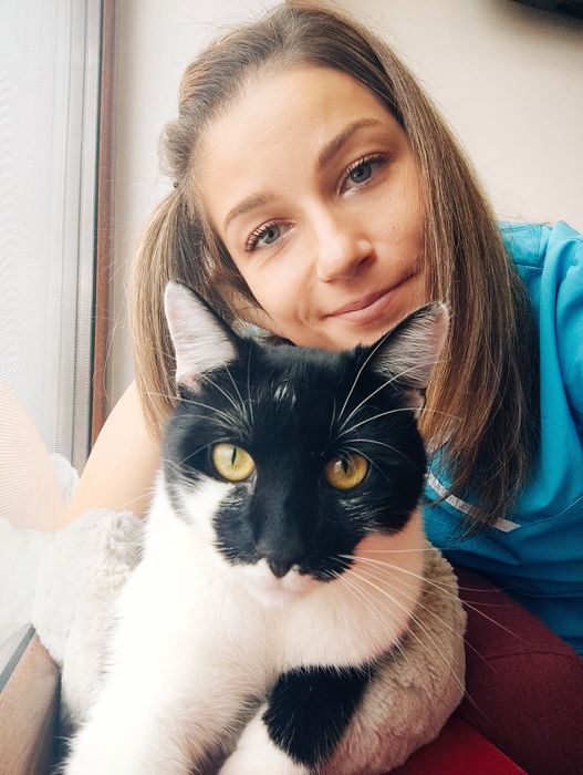 Pisica si motanel, frati, își cauta stapani iubitori