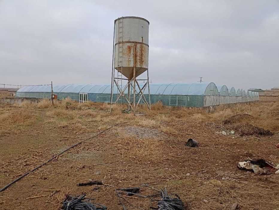 Теплица, паррандачилик, корамол Фермаси (птицеферма, иссикхона, чорва)