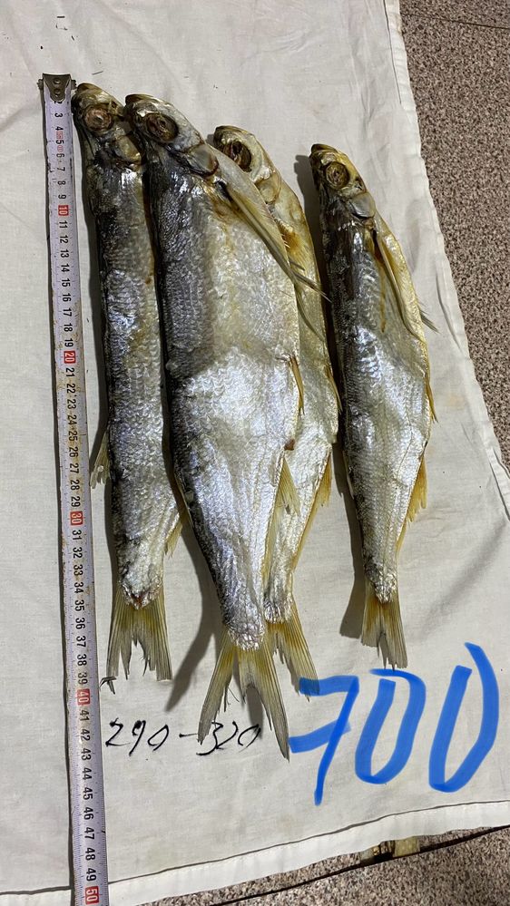 Продам рыбу