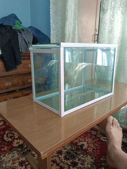 Здравствуйте! Продаю аквариум габариты 55 длина, 31 ширина, 36 глубина