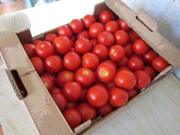 Продаются помидоры, домашние