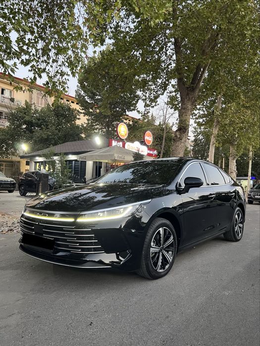 Byd Chazor Flagship Full Позится