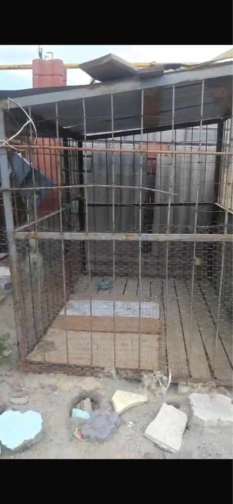 Вольер для собак