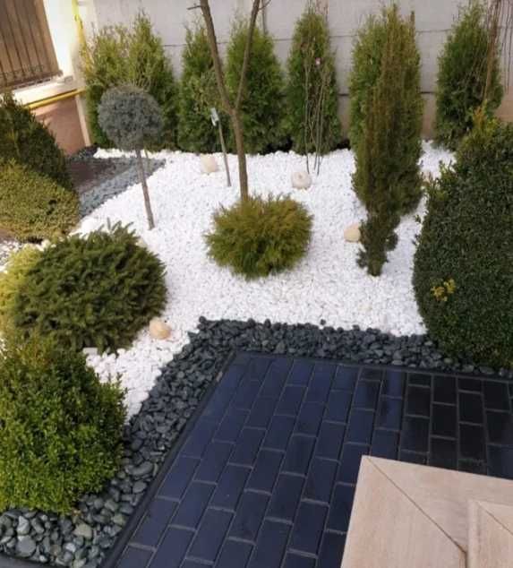 Plante Decorative Oriunde in tara! Gazon Rulou