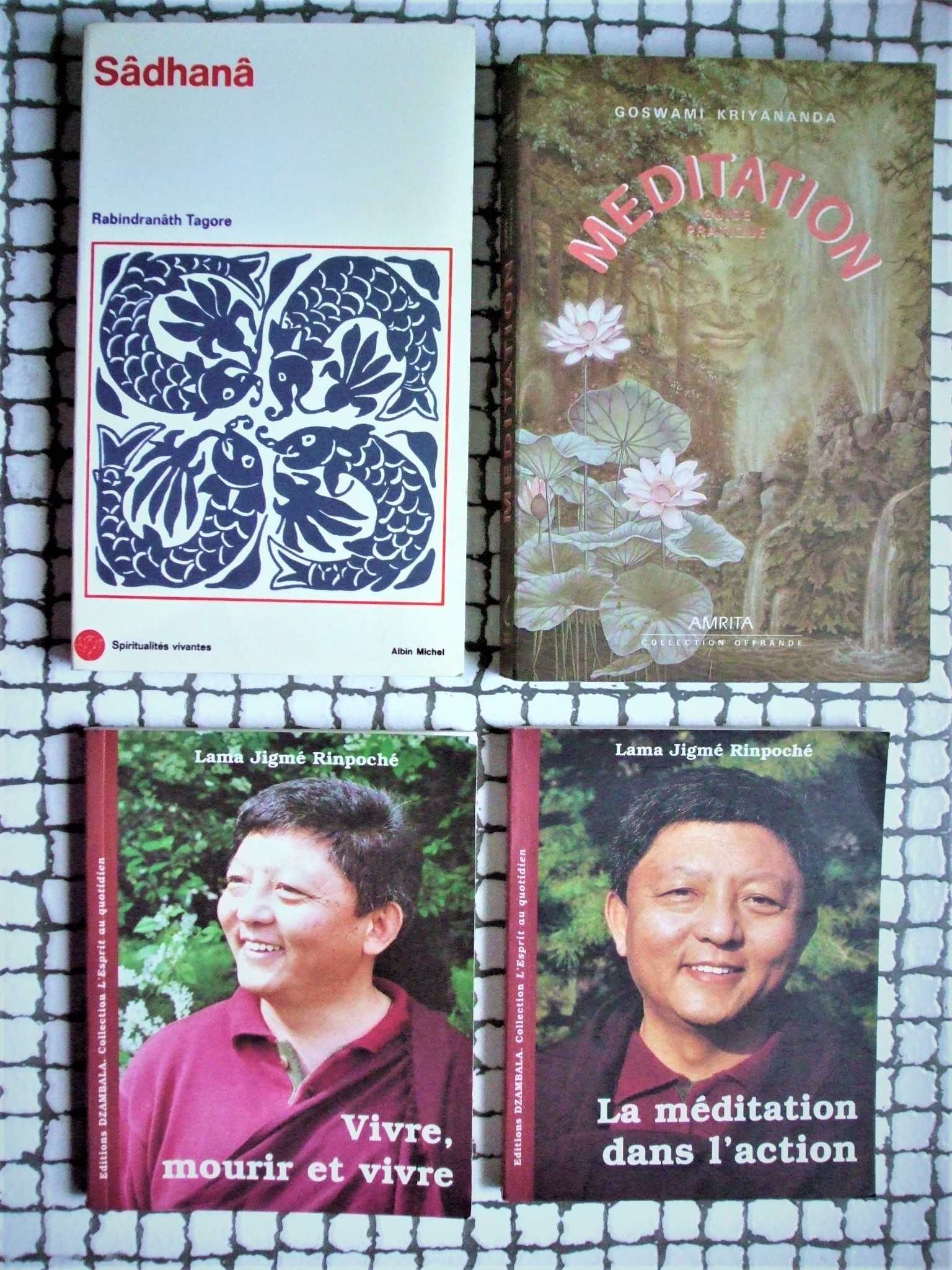 colecţie cărți budhism_tibetan, indian, zen, dao_în limba franceza