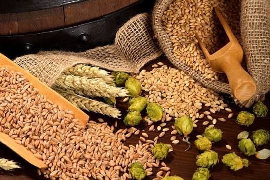 Солод натуральный домашний