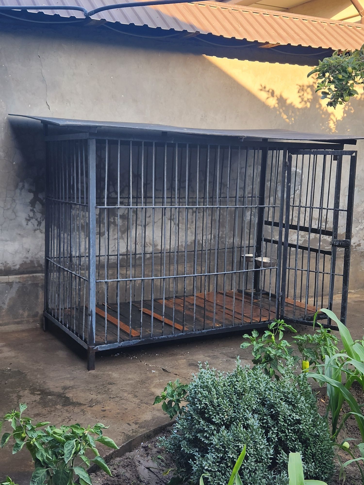 Валер для сабак 300$