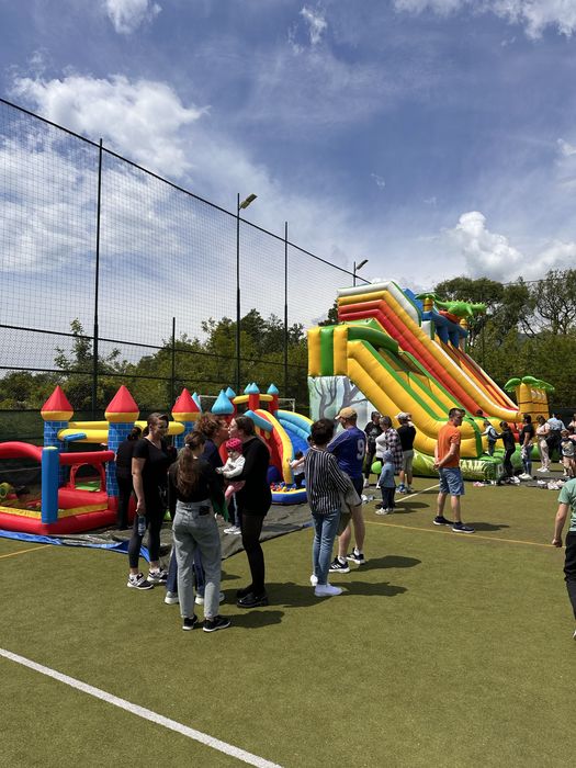 Tobogan gonflabil/ Castel gonflabil/ Kids corner/ Bubble house/Pictură