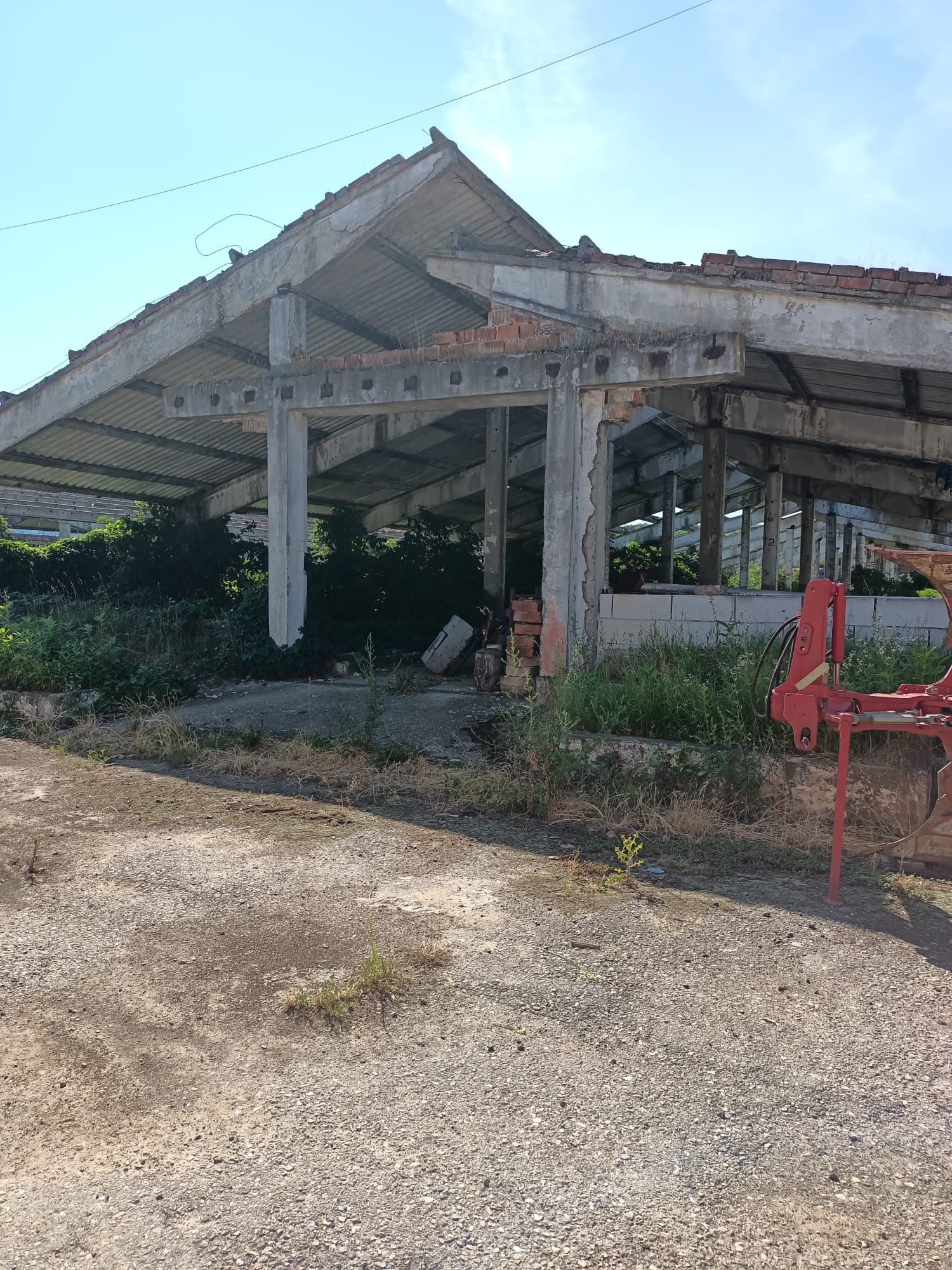 Vand ferma de  ingrasare suine situata in localitatea Barastii Hategul