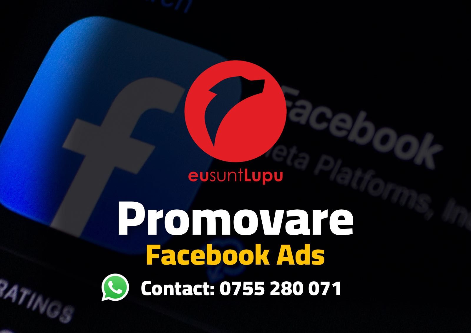 +Administrare reclame postari Social Media promovare online Fb Insta