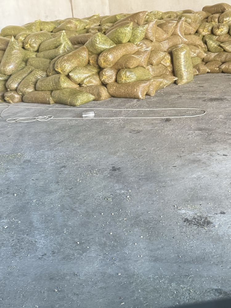 Silos donli 20000 sum