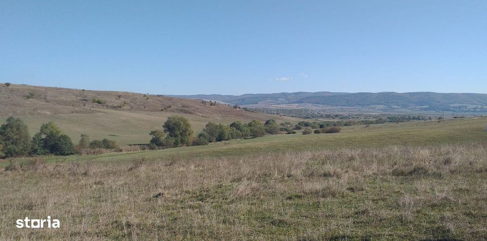 Teren Apata 0.8 euro/mp pretabil investitie