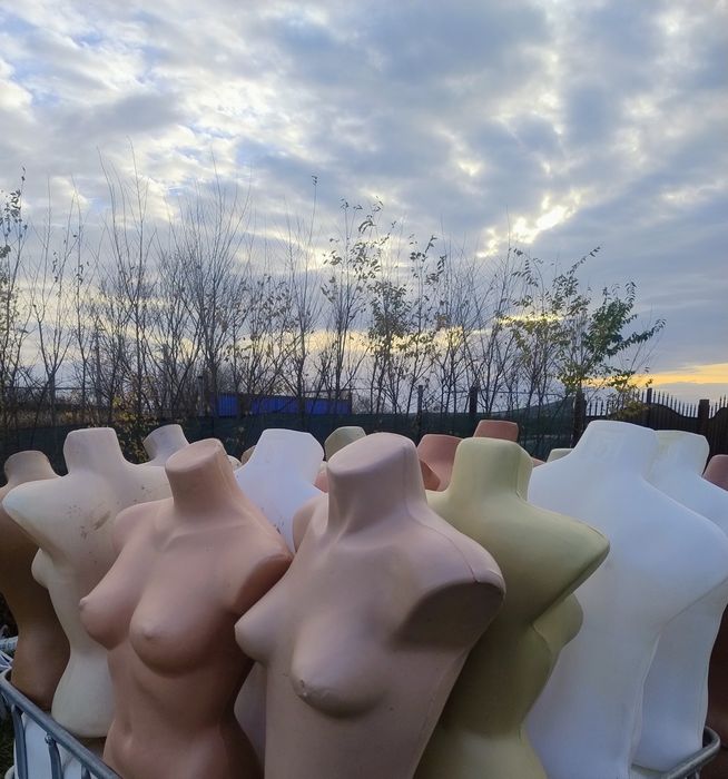 Busturi pentru haine