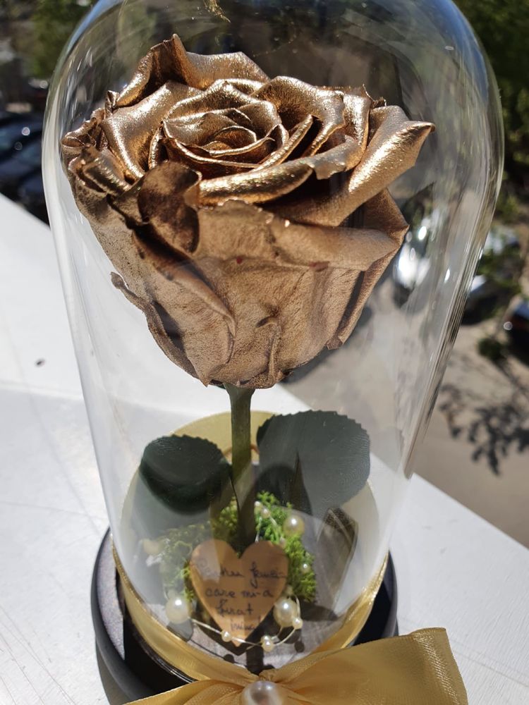 Cupola de sticla cu trandafir criogenat conservat diverse inaltimi